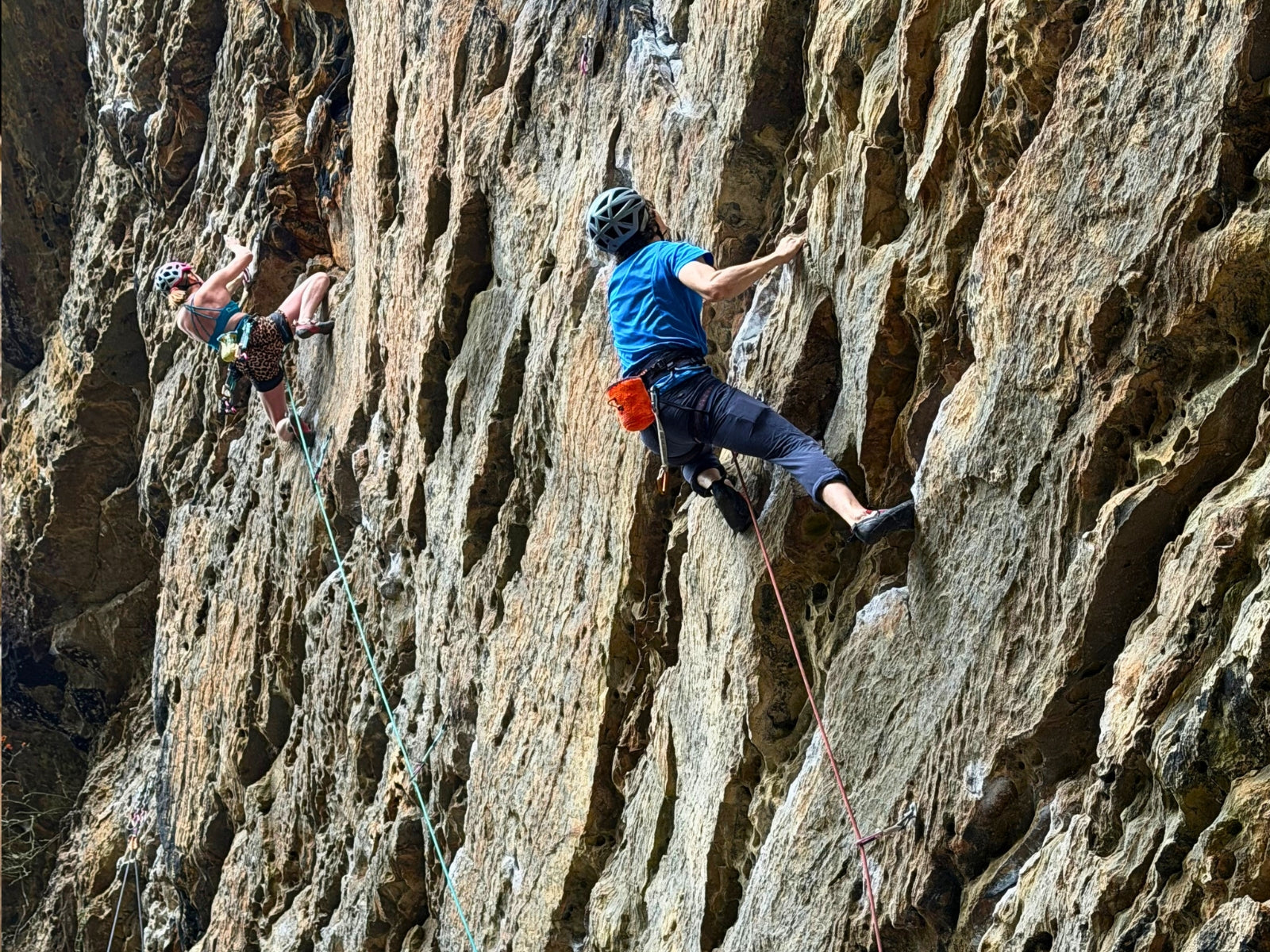 adaptive climbers festival redd river gorge