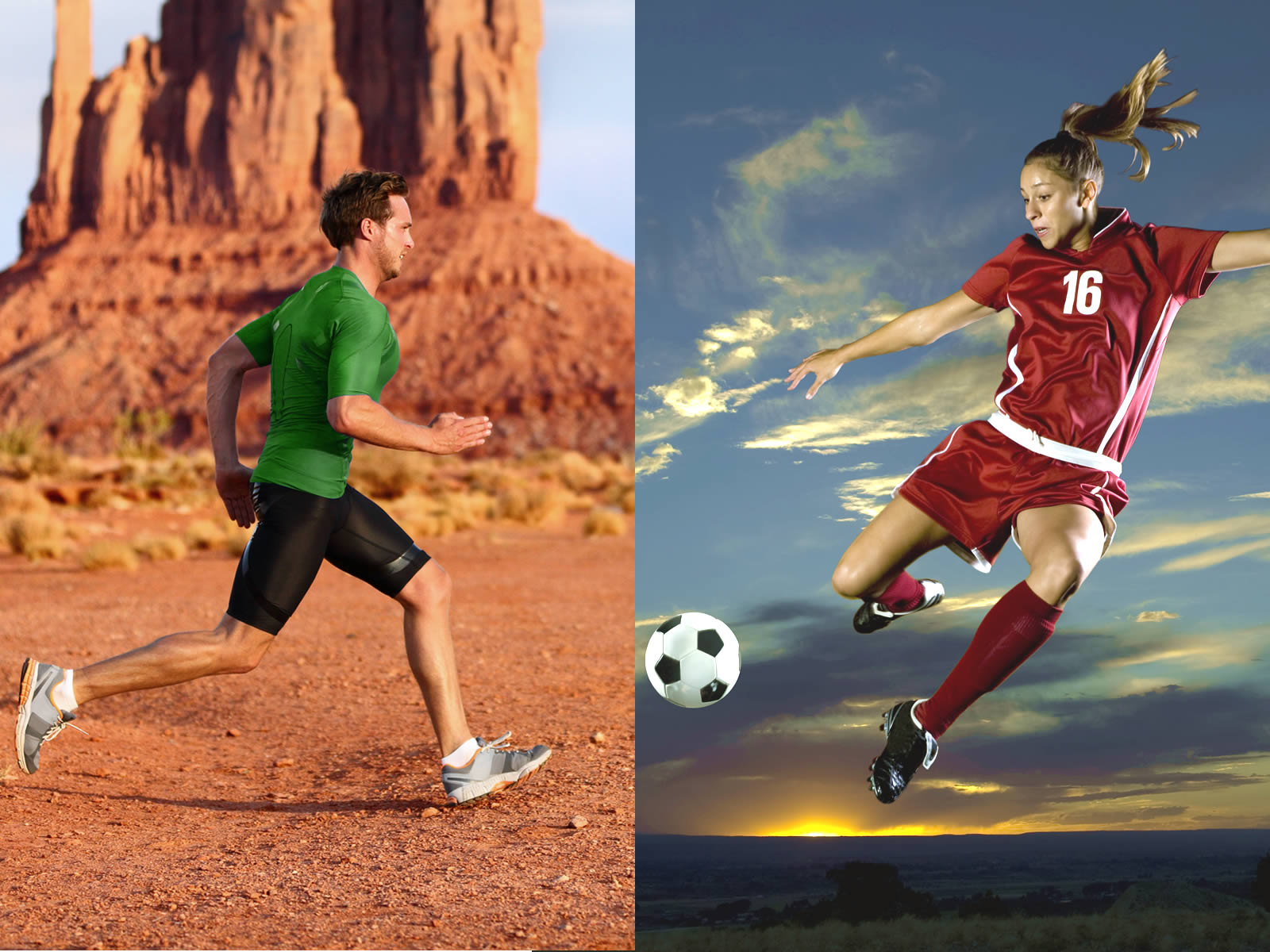 Training & Nutritional Influence on Athlete Injury Risk and Connective Tissue Adaptations