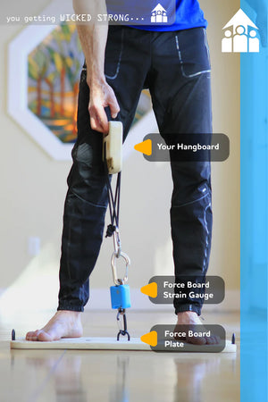 Force Board Portable Strength Testing & Training